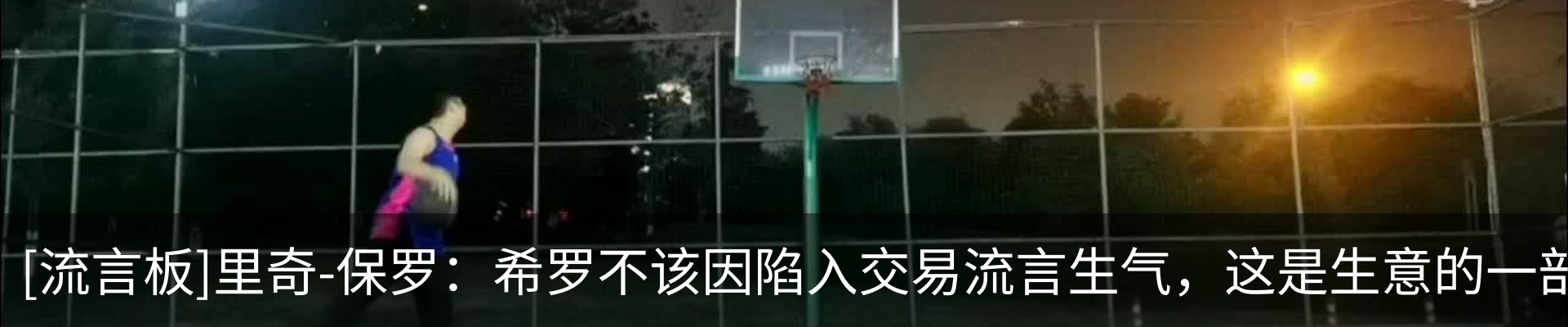 新闻动态
